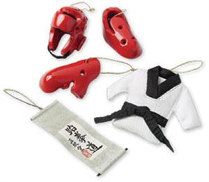 Taekwondo 5 Piece Ornament Set